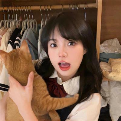 顾医生你老婆又去杀猪啦